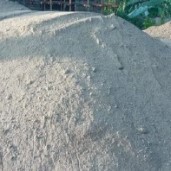 Stone 1